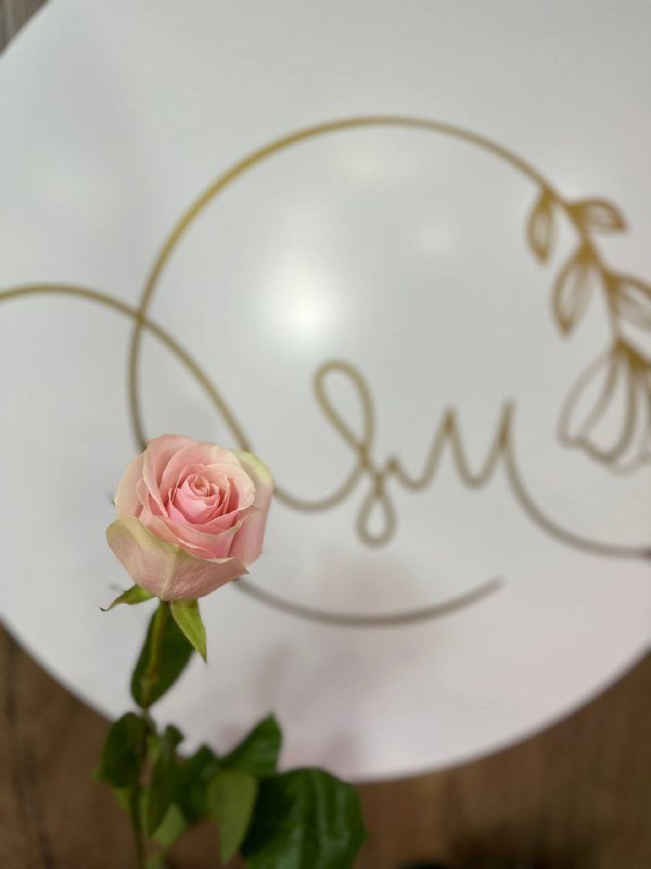 Роза Пинк Мондиаль нежно-розовая 70 см